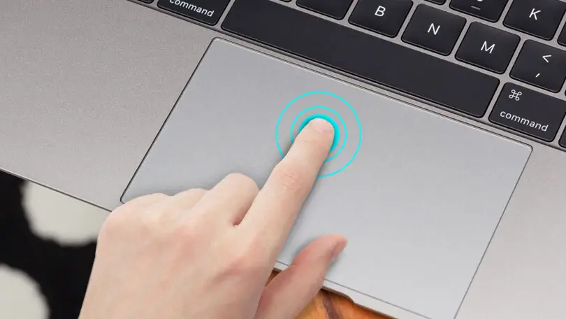 Common Causes of Trackpad Malfunctions: