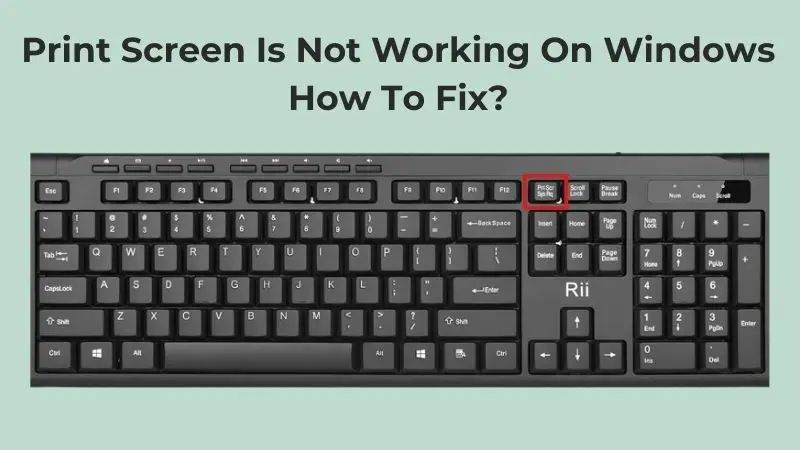 Common Reasons for Print Screen Issues: