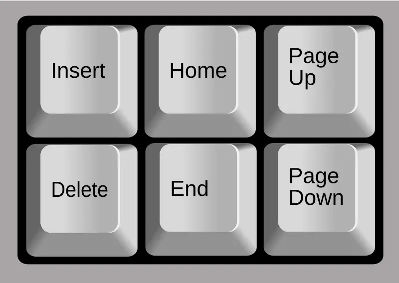 Common Reasons for Page Up and Page Down Key Issues: